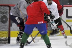 2015_Eishockey_FwTV_29