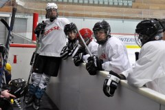 2015_Eishockey_FwTV_33