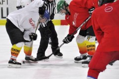 2015_Eishockey_FwTV_34