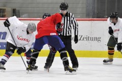 2015_Eishockey_FwTV_41