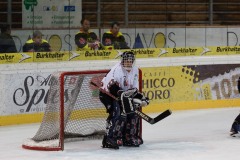 2016-06-11_Davos_11