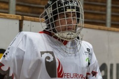 2016-06-11_Davos_42