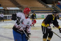 2016-06-11_Davos_75