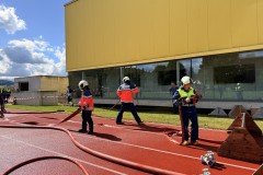 Bild_11