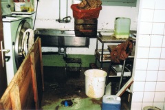 1994-05-19-Hochwasser-28