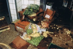 1994-05-19-Hochwasser-29