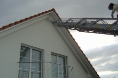 2004062_Hornissen_02