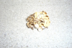 2004062_Hornissen_06