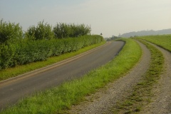 08