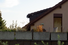 20060911_WespenLuess_2