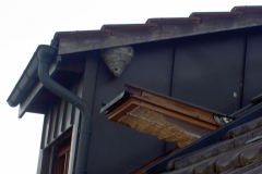 20060911_WespenLuess_3