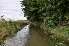 20140713_Wasser_67