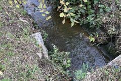 Bild01
