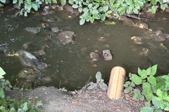 Bild_05