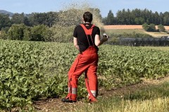Bild_08