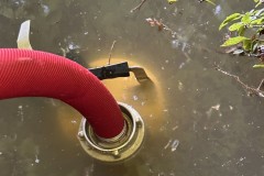Bild_11