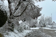 Bild_01