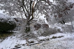 Bild_03