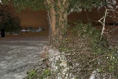 Bild-02