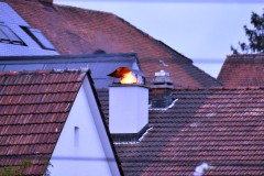 Bild01