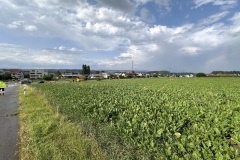 Bild3