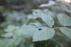 20150822_FwV_07