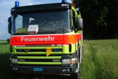 TLF_01